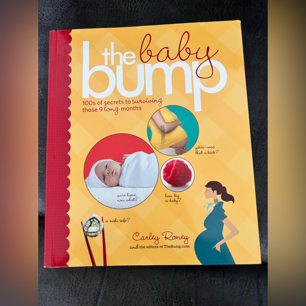 The Baby Bump Book